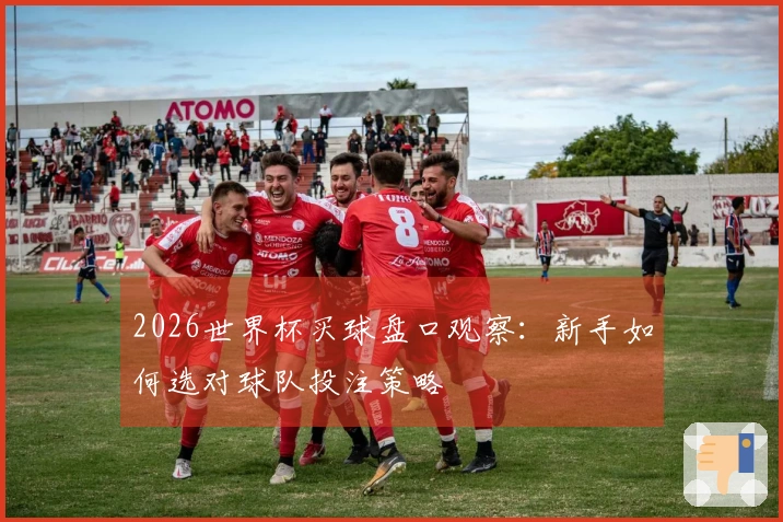 2026世界杯买球盘口观察：新手如何选对球队投注策略