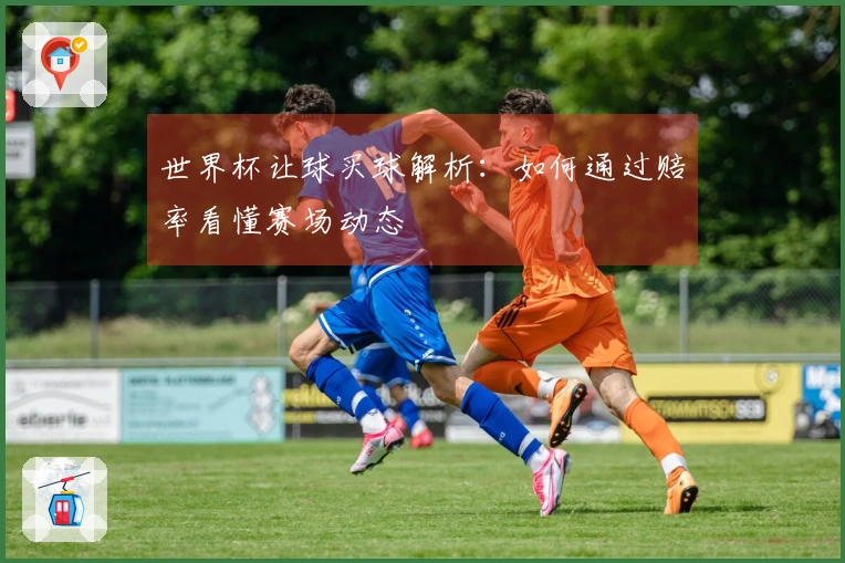 世界杯让球买球解析：如何通过赔率看懂赛场动态