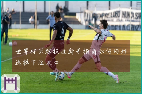 世界杯买球投注新手指南如何巧妙选择下注入口