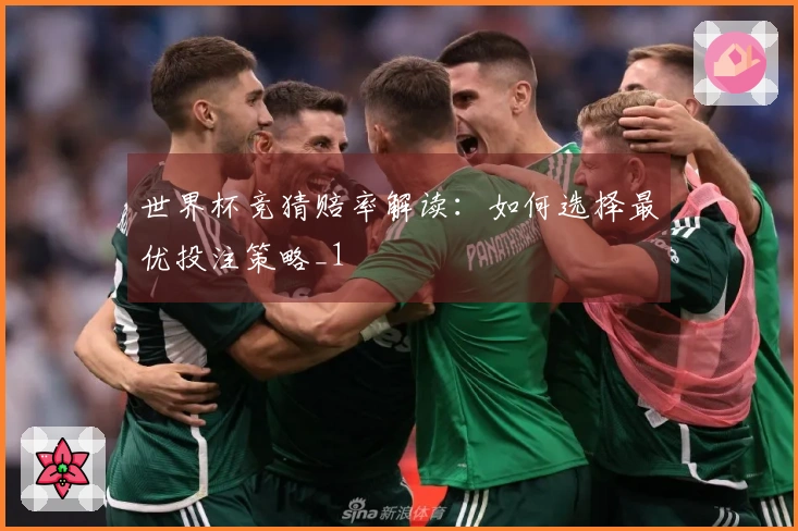 世界杯竞猜赔率解读：如何选择最优投注策略_1