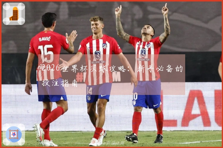 2026世界杯买球攻略：新手必备的投注指南