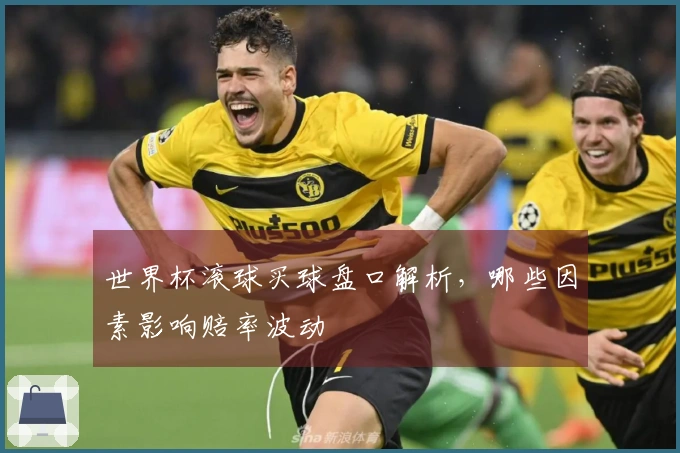 世界杯滚球买球盘口解析，哪些因素影响赔率波动
