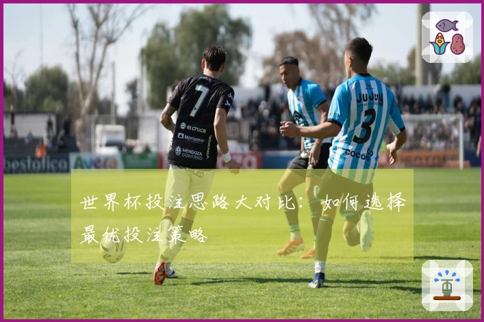世界杯投注思路大对比：如何选择最优投注策略