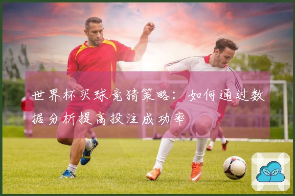 世界杯买球竞猜策略：如何通过数据分析提高投注成功率