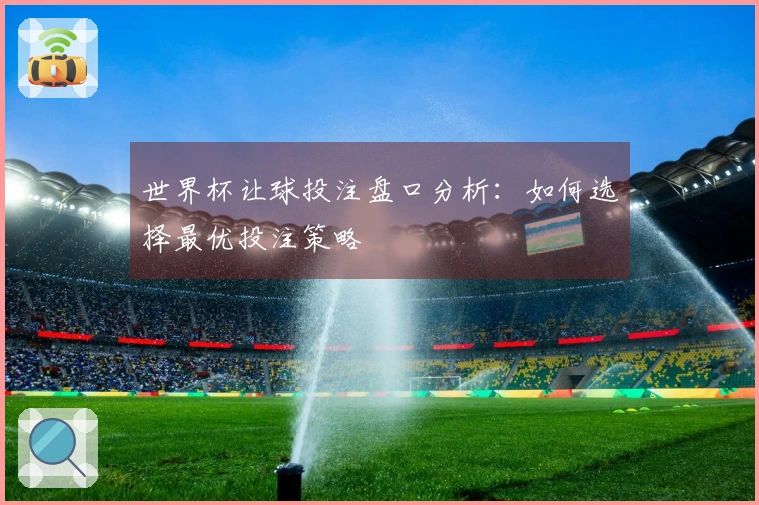 世界杯让球投注盘口分析：如何选择最优投注策略