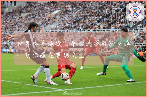 世界杯滚球投注平台选择经验分享，助你赢在赛场之上