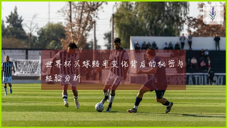 世界杯买球赔率变化背后的秘密与经验分析