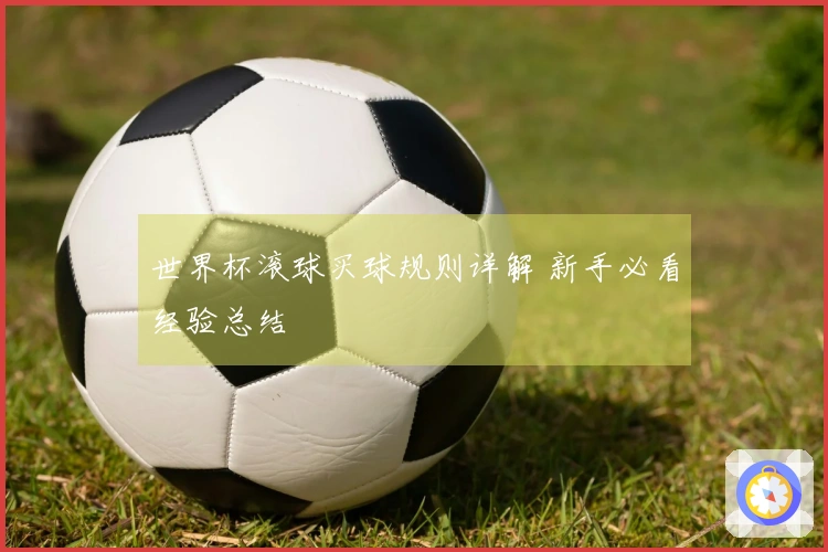 世界杯滚球买球规则详解 新手必看经验总结