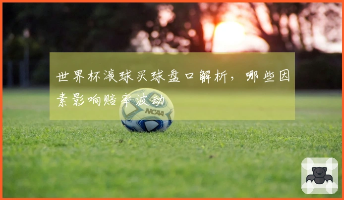世界杯滚球买球盘口解析，哪些因素影响赔率波动