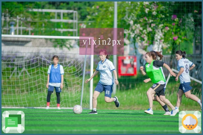 vlxin2px