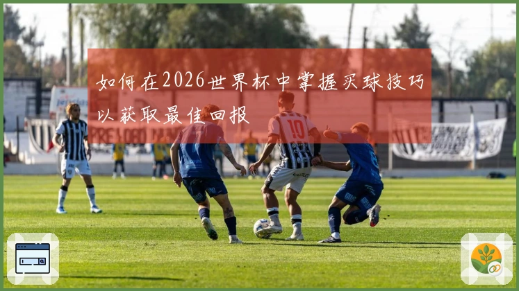 如何在2026世界杯中掌握买球技巧以获取最佳回报