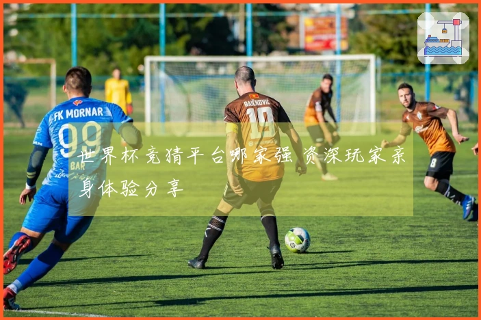 世界杯竞猜平台哪家强 资深玩家亲身体验分享