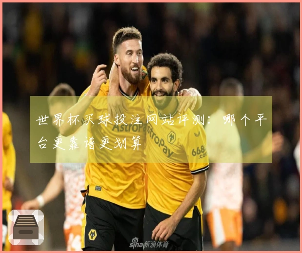 世界杯买球投注网站评测：哪个平台更靠谱更划算