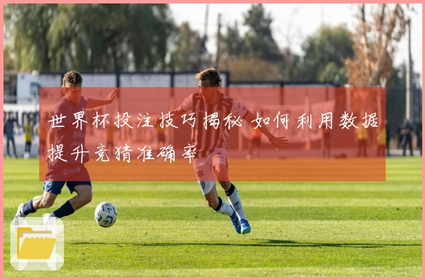 世界杯投注技巧揭秘 如何利用数据提升竞猜准确率