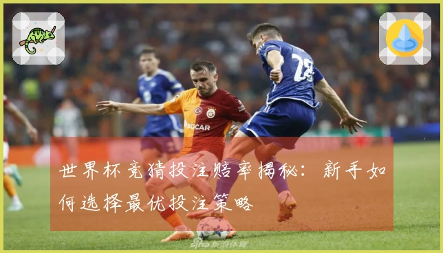 世界杯竞猜投注赔率揭秘：新手如何选择最优投注策略