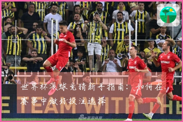 世界杯滚球竞猜新手指南：如何在赛事中做好投注选择