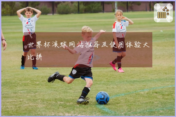 世界杯滚球网站推荐及使用体验大比拼