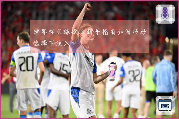 世界杯买球投注新手指南如何巧妙选择下注入口