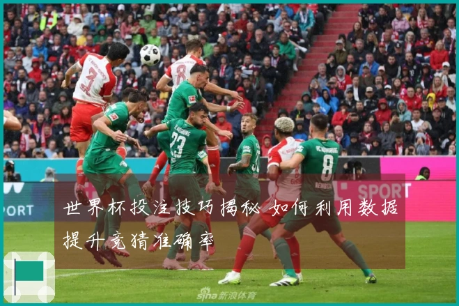 世界杯投注技巧揭秘 如何利用数据提升竞猜准确率