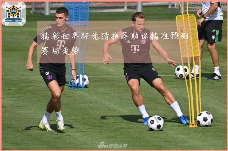 精彩世界杯竞猜推荐助你精准预测赛场走势