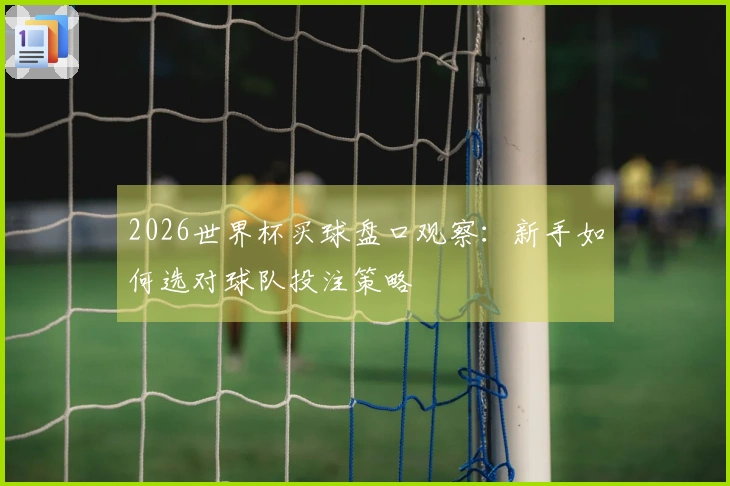 2026世界杯买球盘口观察：新手如何选对球队投注策略