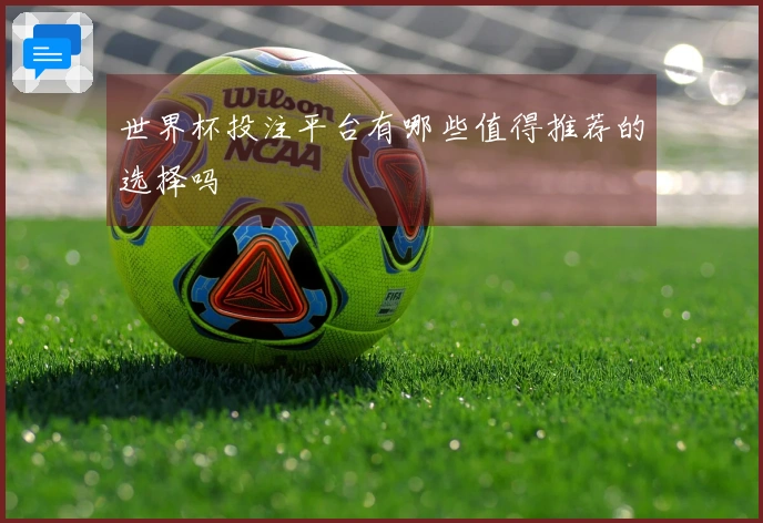 世界杯投注平台有哪些值得推荐的选择吗