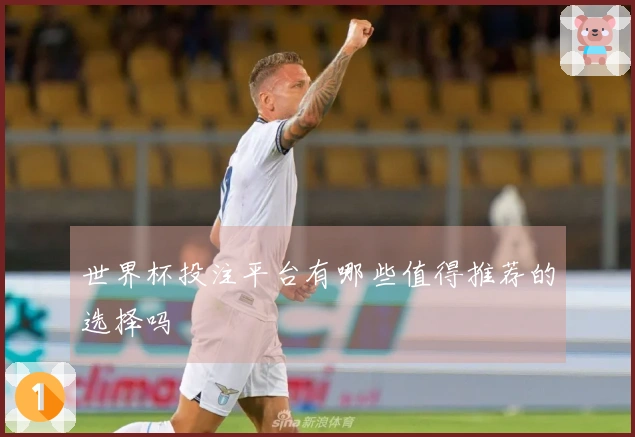 世界杯投注平台有哪些值得推荐的选择吗